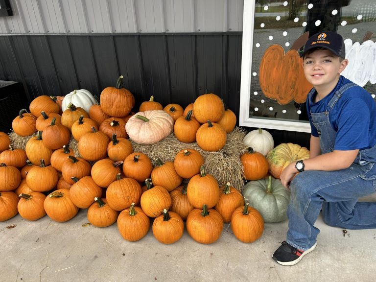 C S Berry Farms and Pumpkin Patch 768x576