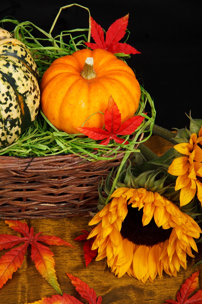 Autumn still life with a pumpkin, speckled gourd, sunflower, and red maple leaves.