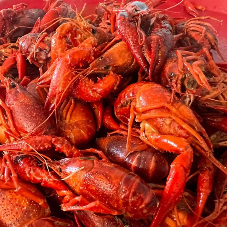 cajun tails 1 768x768