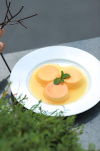 Delicious panna cotta dessert on a white plate garnished with mint leaves.