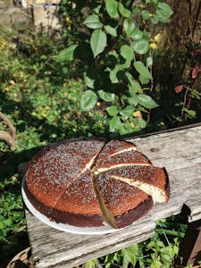 Delicious rustic cake with seeds, sliced and placed on a wooden bench outdoors in daylight.