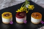 Delight in colorful mini fruit cheesecakes, beautifully garnished with flowers on a dark slate platter.
