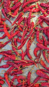 Free stock photo of 2025 travel, 2025 wallpaper, 2026 wallpaper