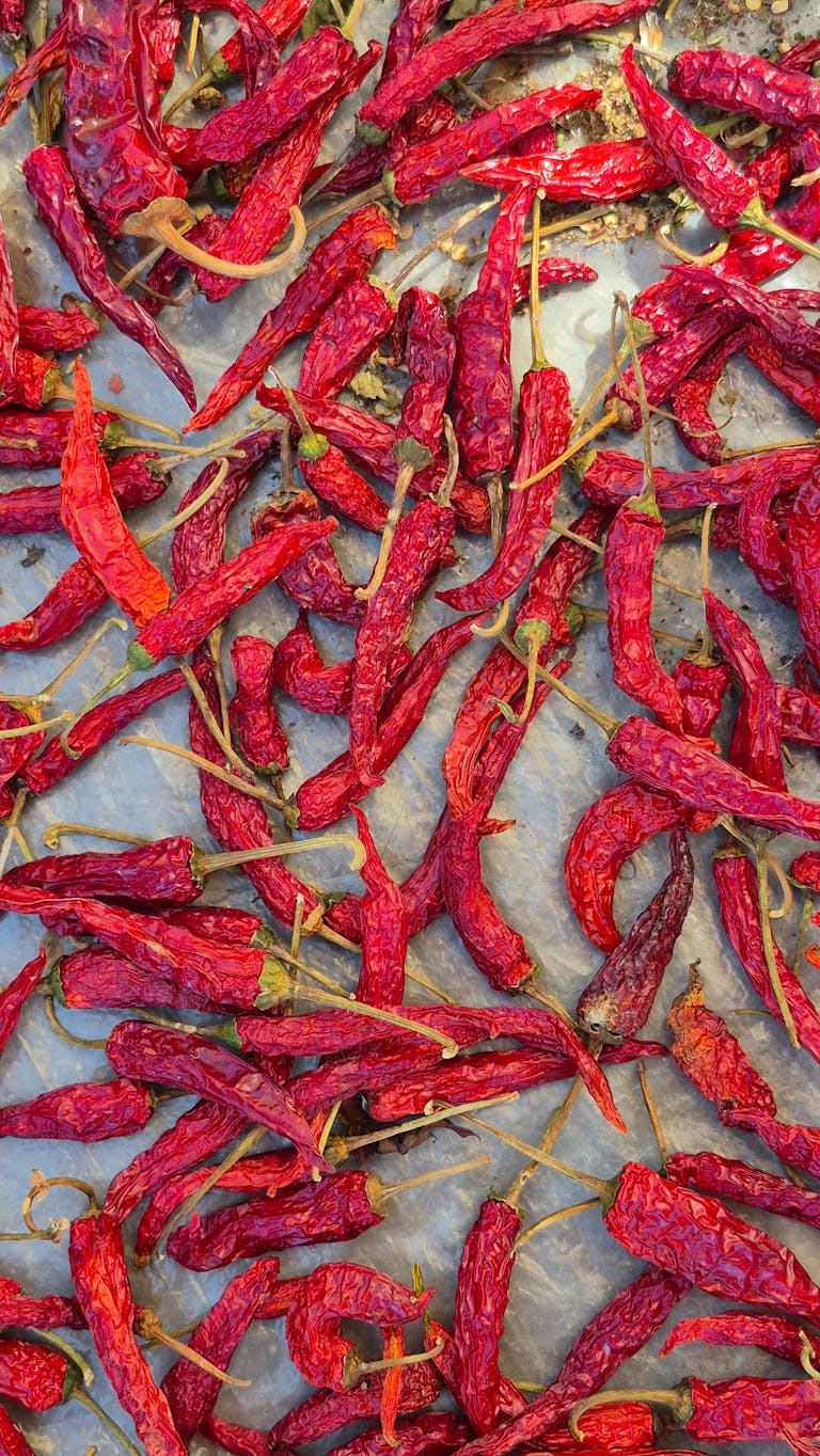 Free stock photo of 2025 travel, 2025 wallpaper, 2026 wallpaper