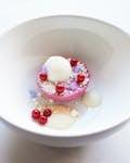 Gourmet dessert with vibrant red currants and delicate presentation in a minimalist white bowl.