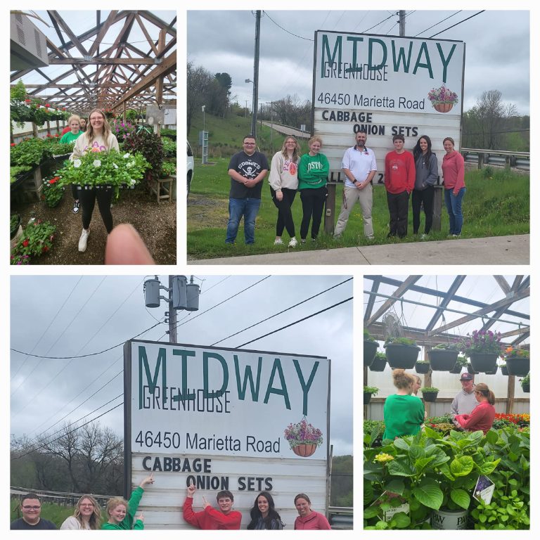 midway green house1 768x768