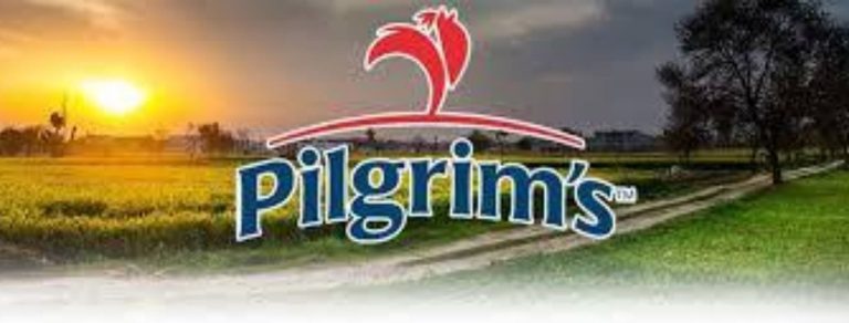 pilgrims 768x292