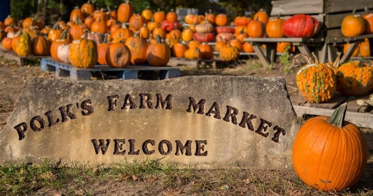 polks farm market 768x405
